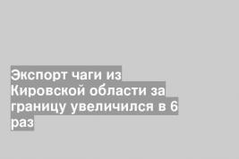 Экспорт чаги из Кировской области за границу увеличился в 6 раз