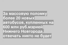 За массовую поломку более 20 новых автобусов, купленных на 600 млн руб.мэрией Нижнего Новгорода, отвечать никто не будет