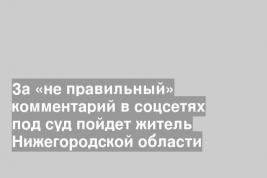 За «не правильный» комментарий в соцсетях под суд пойдет житель Нижегородской области