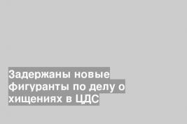 Задержаны новые фигуранты по делу о хищениях в ЦДС