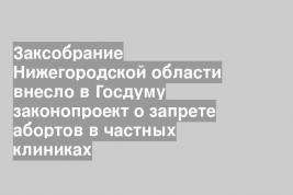 Заксобрание Нижегородской области внесло в Госдуму законопроект о запрете абортов в частных клиниках