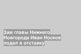 Зам главы Нижнего Новгорода Иван Носков подал в отставку