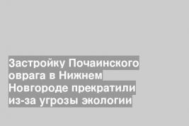 Застройку Почаинского оврага в Нижнем Новгороде прекратили из-за угрозы экологии