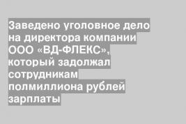 Заведено уголовное дело на директора компании ООО «ВД-ФЛЕКС», который задолжал сотрудникам полмиллиона рублей зарплаты
