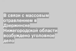 В связи с массовым отравлением в Дзержинске Нижегородской области возбуждено уголовное дело
