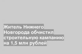 Житель Нижнего Новгорода обчистил строительную кампанию на 1,5 млн рублей