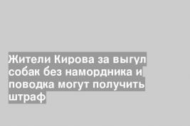 Жители Кирова за выгул собак без намордника и поводка могут получить штраф