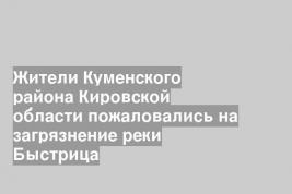 Жители Куменского района Кировской области пожаловались на загрязнение реки Быстрица