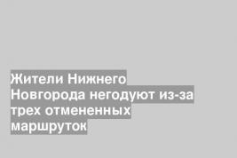 Жители Нижнего Новгорода негодуют из-за трех отмененных маршруток