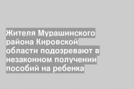Жителя Мурашинского района Кировской области подозревают в незаконном получении пособий на ребенка