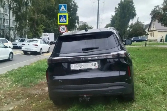 18 протоколов за парковку автомобилей на зелёных зонах составили на тамбовчан (фото: администрация Тамбова)