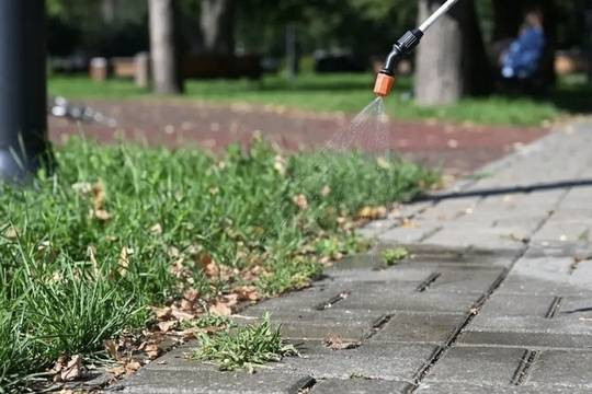 Борьбу с сорняками в Тамбове ведут с помощью гербицида нового поколения (фото: Администрация города Тамбова )
