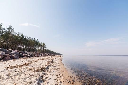 Количество происшествий на воде в регионе сократилось вдвое (фото: freepik.com/freepik)