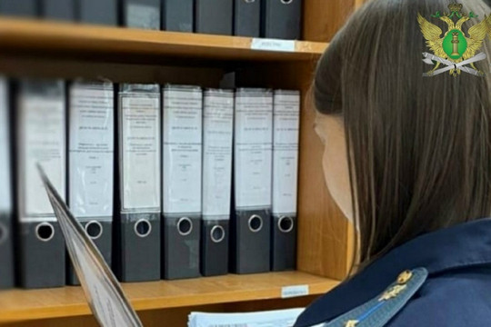 Коллекторскую организацию оштрафовали за оказанное на заёмщика психологическое давление  (фото: r68.fssp.gov.ru)