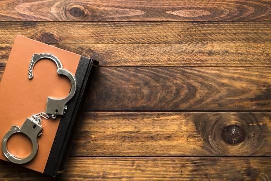 Предпринимателю вынесен приговор за злоупотребления с землей на сумму 23 миллиона рублей (фото: freepik.com/freepik)