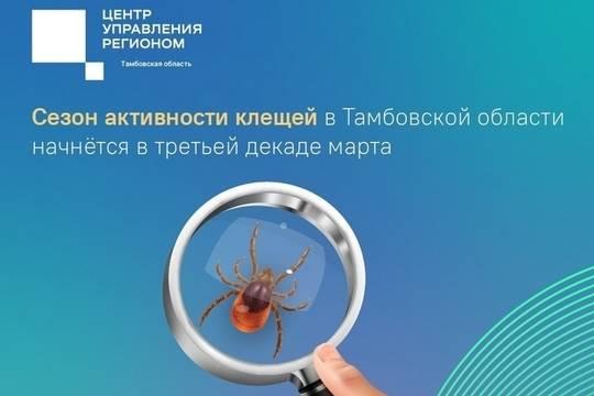 Пробуждение клещей в регионе ожидают с 20 марта (фото: vk.com/tsur68)