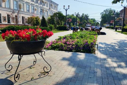 Прополка городских цветников ведётся уже третий раз за месяц (фото: администрация города Тамбова)