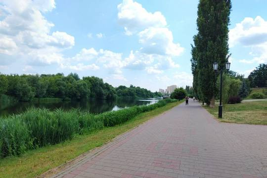 РКС-Тамбов дали два дня на расчистку набережной от лопухов