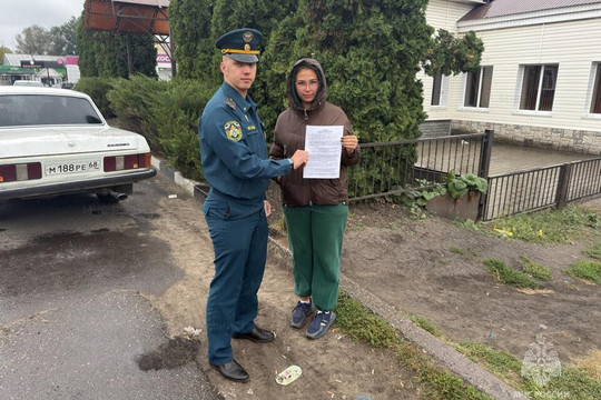 Три ландшафтных пожара зафиксировали за неделю на Тамбовщине (фото: МЧС региона)