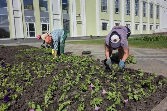 В сквере Державина создали цветочный ковёр из 18 тысяч петуний (фото: администрация города Тамбова)