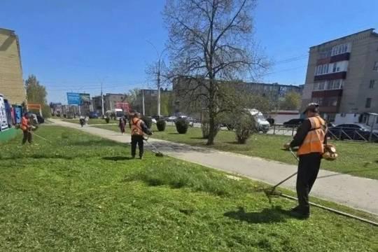 В Тамбове приступили к повторному покосу травы (фото: администрация города Тамбова)