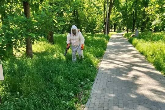 В Тамбове продолжается акарицидная обработка общественных пространств (фото: администрация города Тамбова )