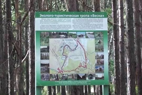Эколого-туристическую тропу «Весна» обновили (фото: tambov.gov.ru)