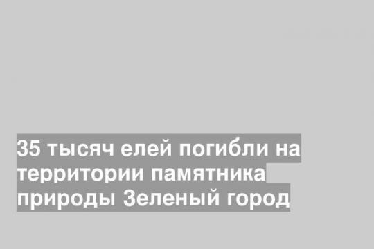 вот так выглядит жук-«преступник»