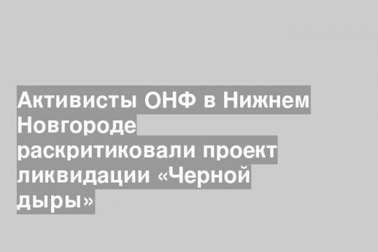 Активисты ОНФ в Нижнем Новгороде раскритиковали проект ликвидации «Черной дыры»