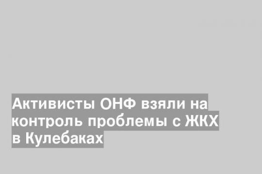 Активисты ОНФ взяли на контроль проблемы с ЖКХ в Кулебаках
