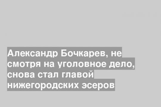 Александр Бочкарев, не смотря на уголовное дело, снова стал главой нижегородских эсеров