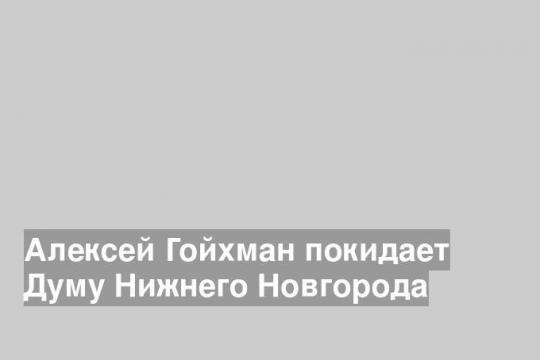 Алексей Гойхман покидает Думу Нижнего Новгорода