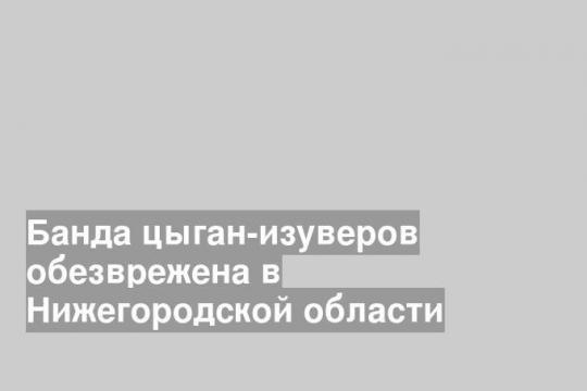 Банда цыган-изуверов обезврежена в Нижегородской области