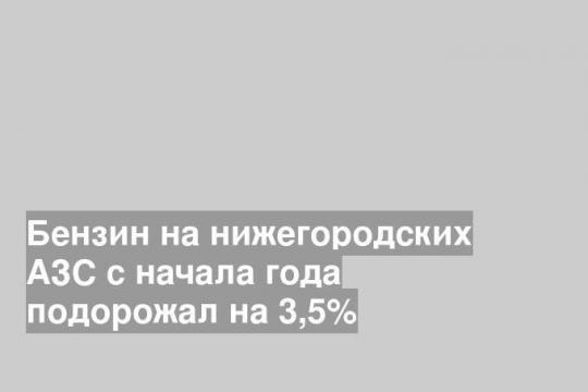 Бензин на нижегородских АЗС с начала года подорожал на 3,5%