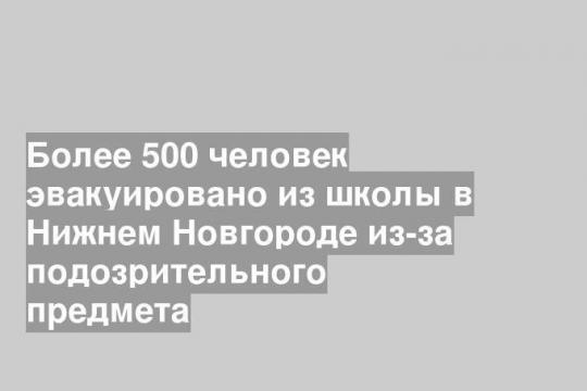 Более 500 человек эвакуировано из школы в Нижнем Новгороде из-за подозрительного предмета