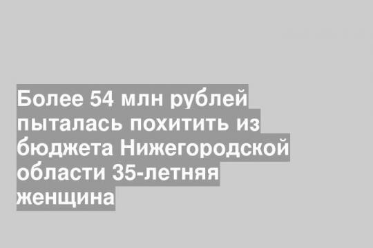 Более 54 млн рублей пыталась похитить из бюджета Нижегородской области 35-летняя женщина