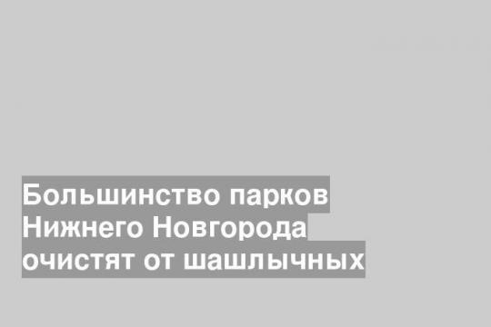 Большинство парков Нижнего Новгорода очистят от шашлычных
