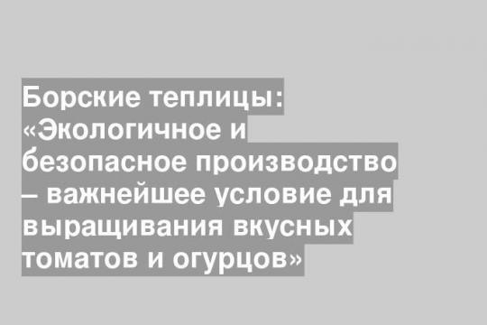Борские теплицы: «Экологичное и безопасное производство – важнейшее условие для выращивания вкусных томатов и огурцов»