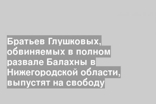 Братьев Глушковых, обвиняемых в полном развале Балахны в Нижегородской области, выпустят на свободу