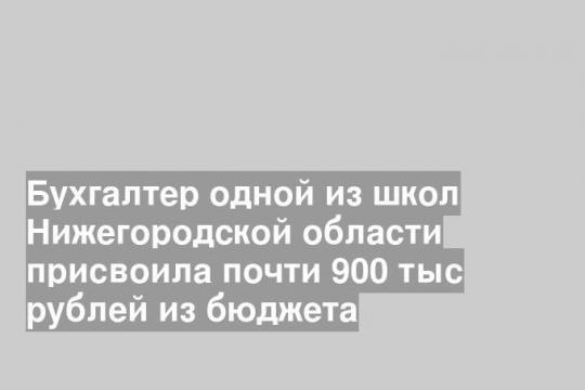 Бухгалтер одной из школ Нижегородской области присвоила почти 900 тыс рублей из бюджета