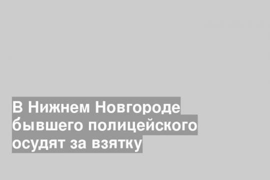 В Нижнем Новгороде бывшего полицейского осудят за взятку