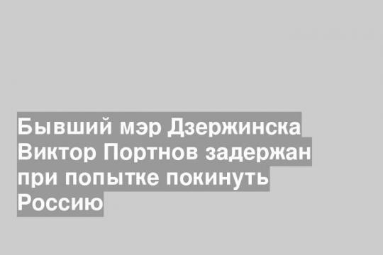 Бывший мэр Дзержинска Виктор Портнов задержан при попытке покинуть Россию