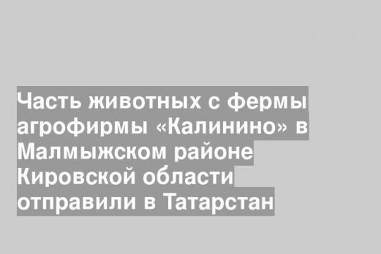 Часть животных с фермы агрофирмы «Калинино» в Малмыжском районе Кировской области отправили в Татарстан