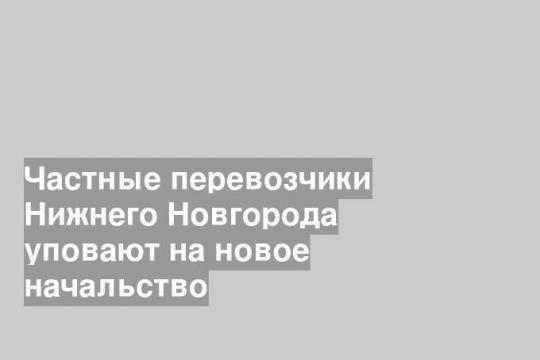 Частные перевозчики Нижнего Новгорода уповают на новое начальство