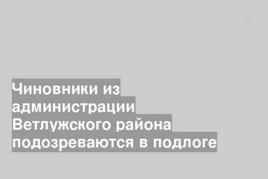 Чиновники из администрации Ветлужского района подозреваются в подлоге