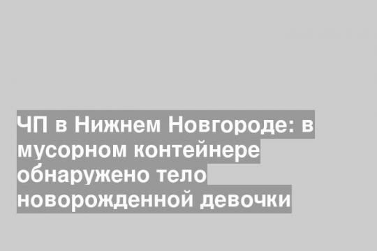 ЧП в Нижнем Новгороде: в мусорном контейнере обнаружено тело новорожденной девочки