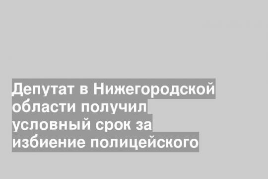 Депутат в Нижегородской области получил условный срок за избиение полицейского
