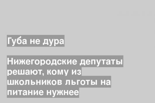 Нижегородские депутаты решают, кому из школьников льготы на питание нужнее
