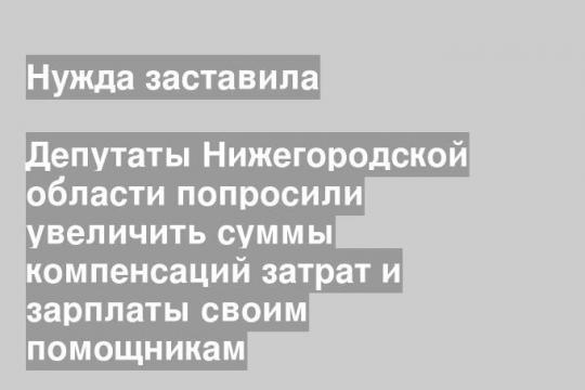 Депутаты Нижегородской области попросили увеличить суммы компенсаций затрат и зарплаты своим помощникам