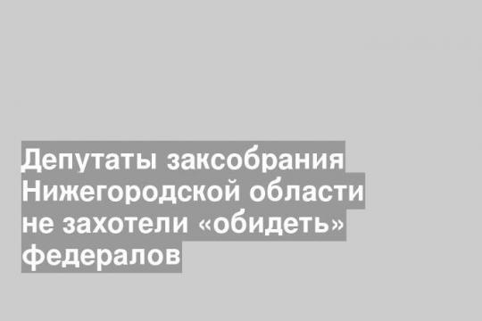Депутаты заксобрания Нижегородской области не захотели «обидеть» федералов